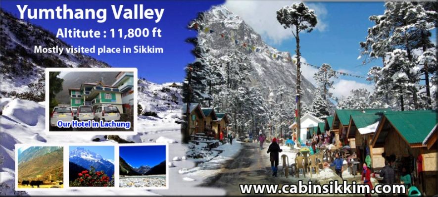 taxi service to visit yumthang valley north sikkim
