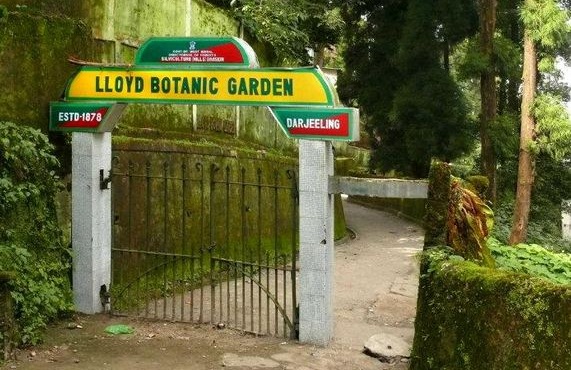 botanic garden darjeeling taxi