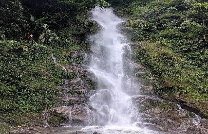 Rimbi water falls sikkim