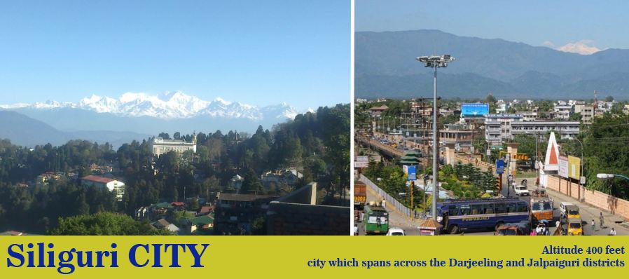 siliguri taxi service image